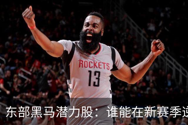 东部黑马潜力股：谁能在新赛季逆袭而上？