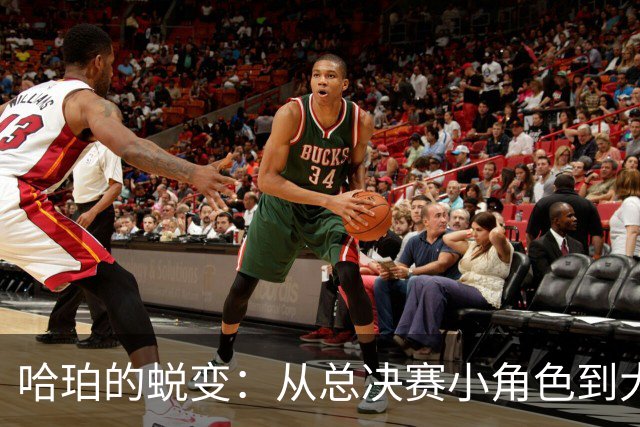 哈珀的蜕变：从总决赛小角色到大舞台的明星
